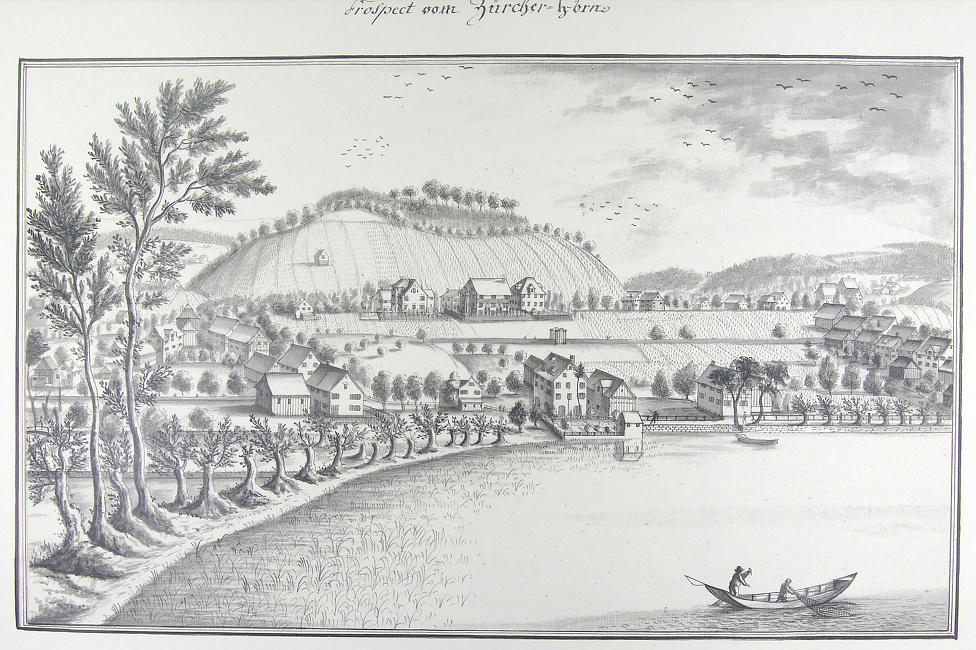 Ansichten der Stadt Zürich und der Orte am Zürichsee 1771-1772