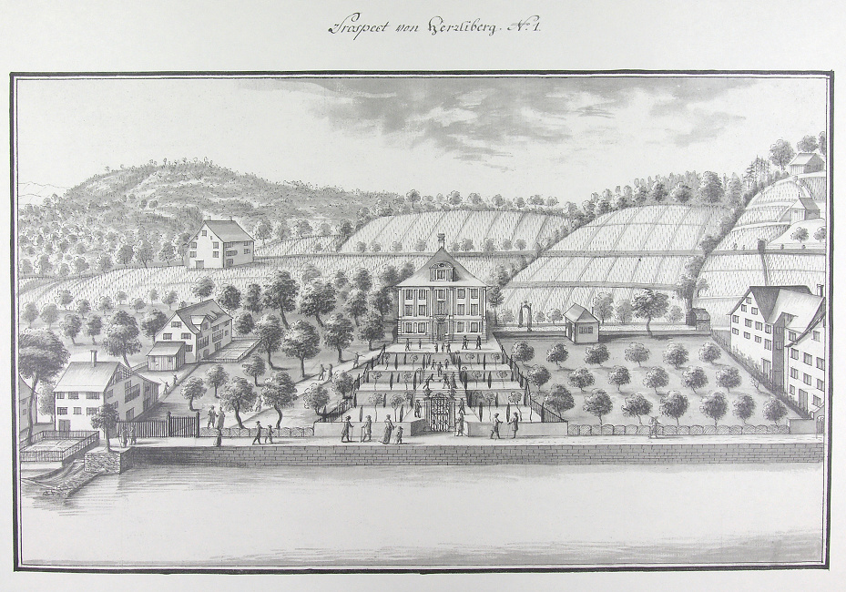 Ansichten der Stadt Zürich und der Orte am Zürichsee 1771-1772