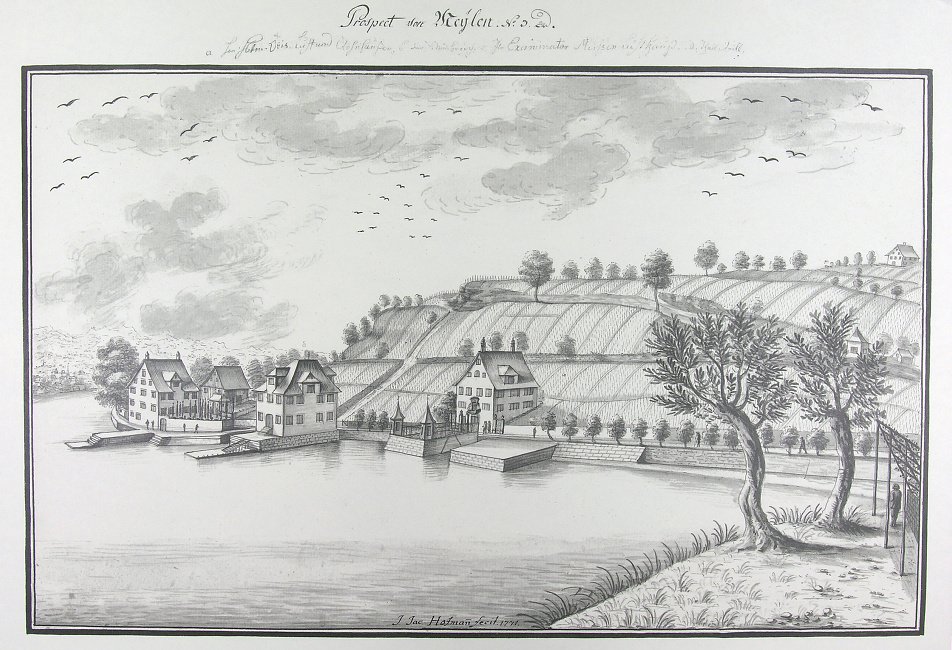 Ansichten der Stadt Zürich und der Orte am Zürichsee 1771-1772