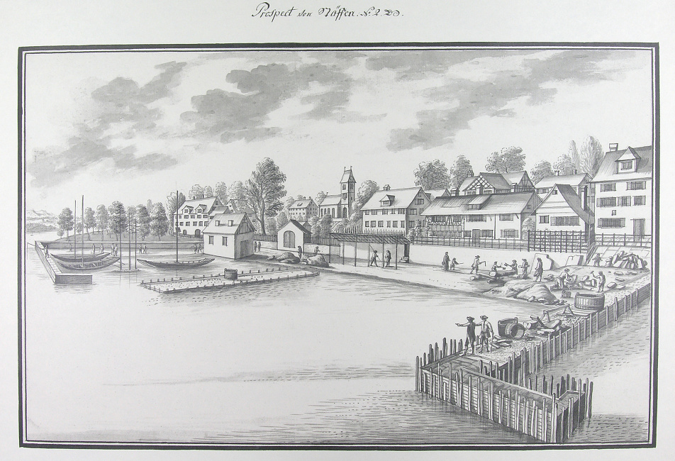 Ansichten der Stadt Zürich und der Orte am Zürichsee 1771-1772